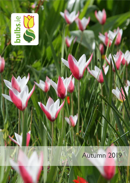 Autumn 2019 Beechill Bulbs Welcome to Our Autumn 2019 Collection