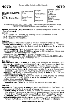 Consigned by Castletown Stud (Agent) Nureyev Northern