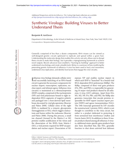 Synthetic Virology: Building Viruses to Better Understand Them