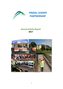 Annual Activity Report 2017