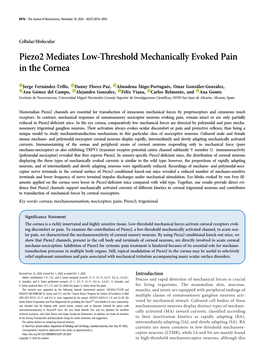 Piezo2 Mediates Low-Threshold Mechanically Evoked Pain in the Cornea