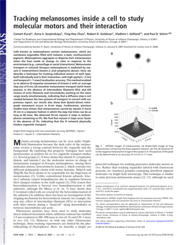 Tracking Melanosomes Inside a Cell to Study Molecular Motors and Their Interaction