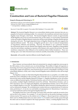 Construction and Loss of Bacterial Flagellar Filaments