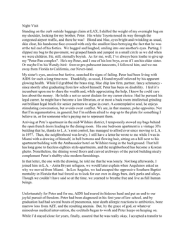 Night Visit Standing on the Curb Outside Baggage Claim at LAX, I Shifted the Weight of My Overnight Bag on My Shoulder, Looking for My Brother, Peter
