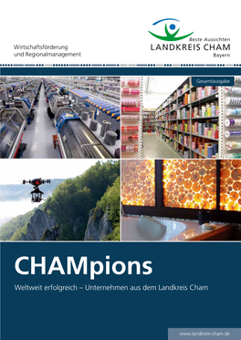 Champions Weltweit Erfolgreich – Unternehmen Aus Dem Landkreis Cham