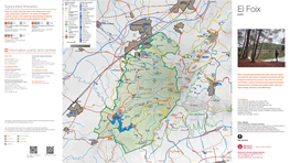 El Foix Routes Marked with an Asterisk (*)