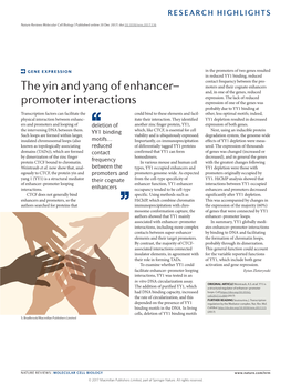 The Yin and Yang of Enhancer–Promoter Interactions