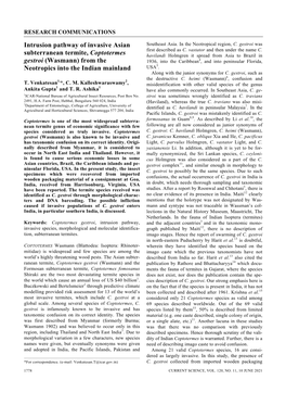 Intrusion Pathway of Invasive Asian Subterranean Termite, Coptotermes Gestroi (Wasmann) from the Neotropics Into the Indian Ma