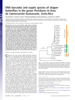 DNA Barcodes and Cryptic Species of Skipper Butterflies in the Genus Perichares in Area De Conservacio´ N Guanacaste, Costa Rica