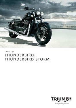 Thunderbird Storm