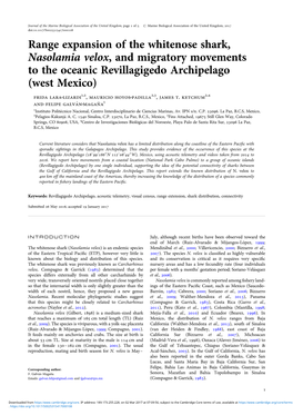 Range Expansion of the Whitenose Shark, Nasolamia Velox, and Migratory Movements to the Oceanic Revillagigedo Archipelago