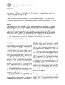 Increase in Mitotic Recombination in Diploid Cells of Aspergillus Nidulans in Response to Ethidium Bromide