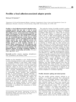 Paxillin: a Focal Adhesion-Associated Adaptor Protein