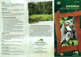Kakamega National Reserve Is Accessible by All Vehicles All Year Round