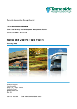 Issues and Options Topic Papers