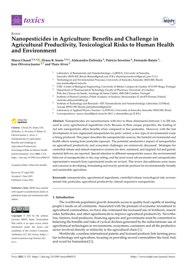 Nanopesticides in Agriculture: Beneﬁts and Challenge in Agricultural Productivity, Toxicological Risks to Human Health and Environment