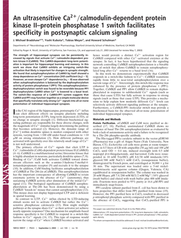 Calmodulin-Dependent Protein Kinase II–Protein Phosphatase 1 Switch Facilitates Specificity in Postsynaptic Calcium Signaling