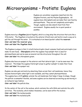 Microorganisms – Protists: Euglena