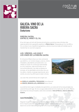 GALICIA: VINO DE LA RIBEIRA SACRA Enoturismo