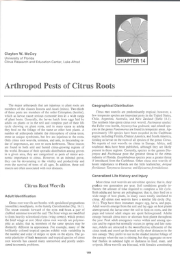 Arthropod Pests of Citrus Roots