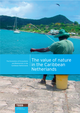 The Value of Nature in the Caribbean Netherlands