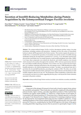 Secretion of Iron(III)-Reducing Metabolites During Protein Acquisition by the Ectomycorrhizal Fungus Paxillus Involutus