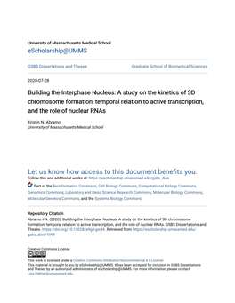 Building the Interphase Nucleus: a Study on the Kinetics of 3D Chromosome Formation, Temporal Relation to Active Transcription, and the Role of Nuclear Rnas