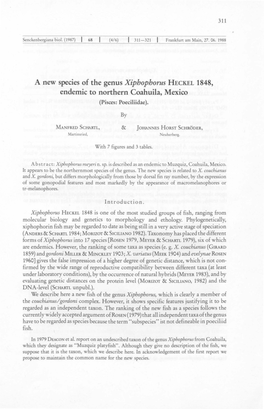 A New Species of the Genus Xiphophorus H ECKEL 1848