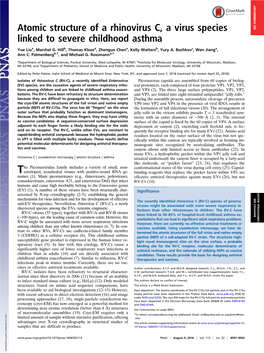 Atomic Structure of a Rhinovirus C, a Virus Species Linked to Severe