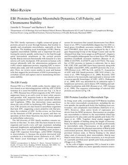 EB1 Proteins Regulate Microtubule Dynamics, Cell Polarity, and Chromosome Stability Jennifer S