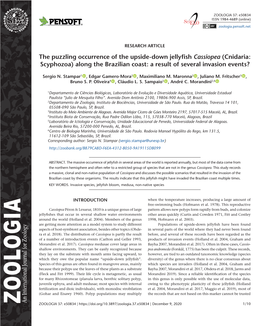 The Puzzling Occurrence of the Upside-Down Jellyfish Cassiopea