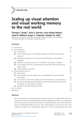 Scaling up Visual Attention and Visual Working Memory to the Real World
