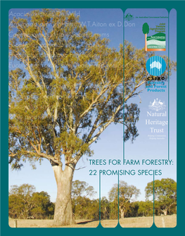 Trees for Farm Forestry: 22 Promising Species