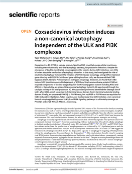 Coxsackievirus Infection Induces a Non-Canonical Autophagy Independent of the ULK and PI3K Complexes