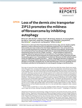 Loss of the Dermis Zinc Transporter ZIP13 Promotes the Mildness Of