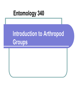 Introduction to Arthropod Groups What Is Entomology?