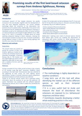 Promising Results of the First Land-Based Cetacean Surveys from Andenes Lighthouse, Norway