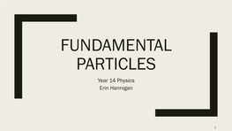 FUNDAMENTAL PARTICLES Year 14 Physics Erin Hannigan