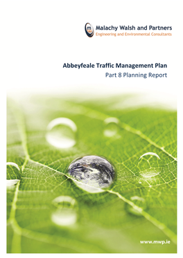 Abbeyfeale Traffic Management Plan Part 8 Planning Report