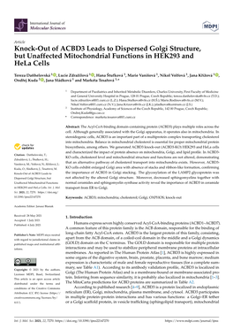 Knock-Out of ACBD3 Leads to Dispersed Golgi Structure, but Unaffected Mitochondrial Functions in HEK293 and Hela Cells