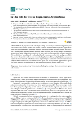 Spider Silk for Tissue Engineering Applications