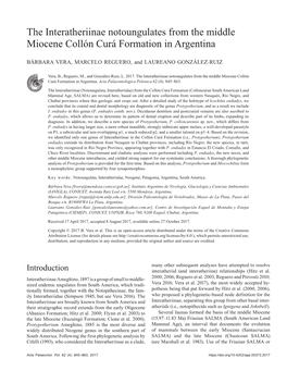 The Interatheriinae Notoungulates from the Middle Miocene Collón Curá Formation in Argentina