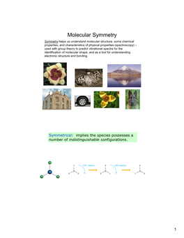 Molecular Symmetry