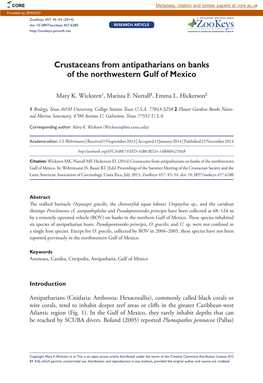Crustaceans from Antipatharians on Banks of the Northwestern Gulf of Mexico