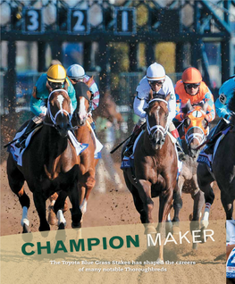 Champion Maker