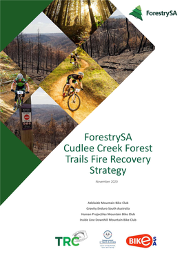 Forestrysa Cudlee Creek Forest Trails Fire Recovery Strategy
