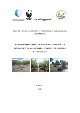 1.3 Mangroves and Climate Change in Mozambique