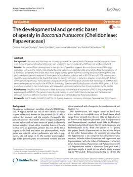 The Developmental and Genetic Bases of Apetaly in Bocconia Frutescens