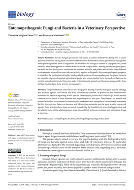 Entomopathogenic Fungi and Bacteria in a Veterinary Perspective