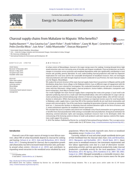 Charcoal Supply Chains from Mabalane to Maputo: Who Beneﬁts?